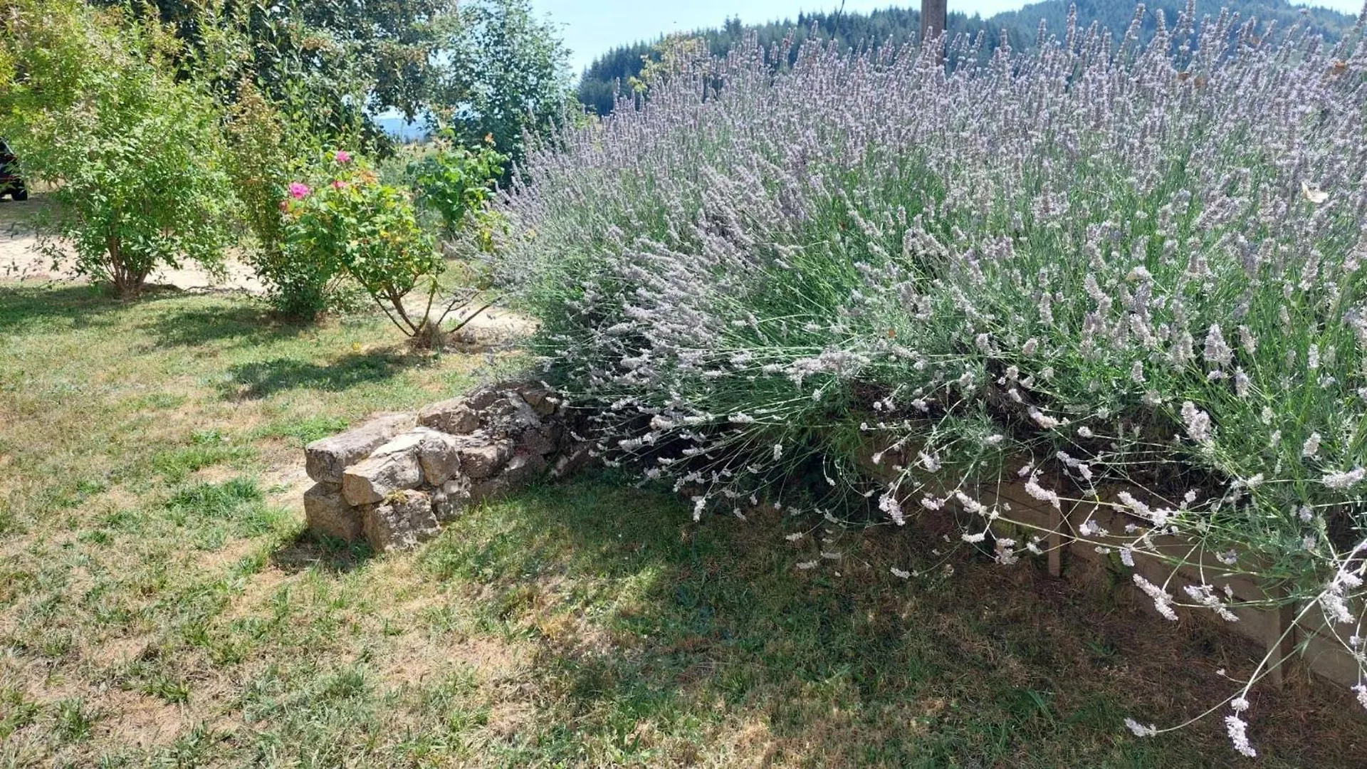 Bed and Breakfast Grange De Sagne Saint-Jean-Roure